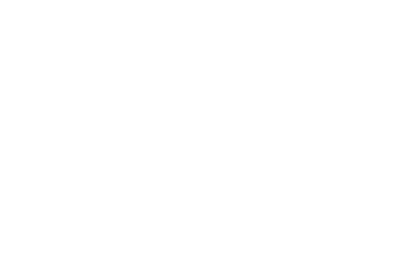 MeloRuns logo white